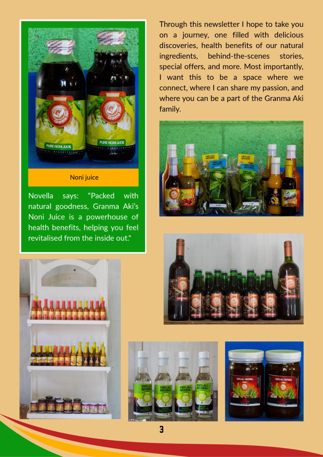 Granma Aki's Taste of Antigua Summer 2025 Edition Pg 3